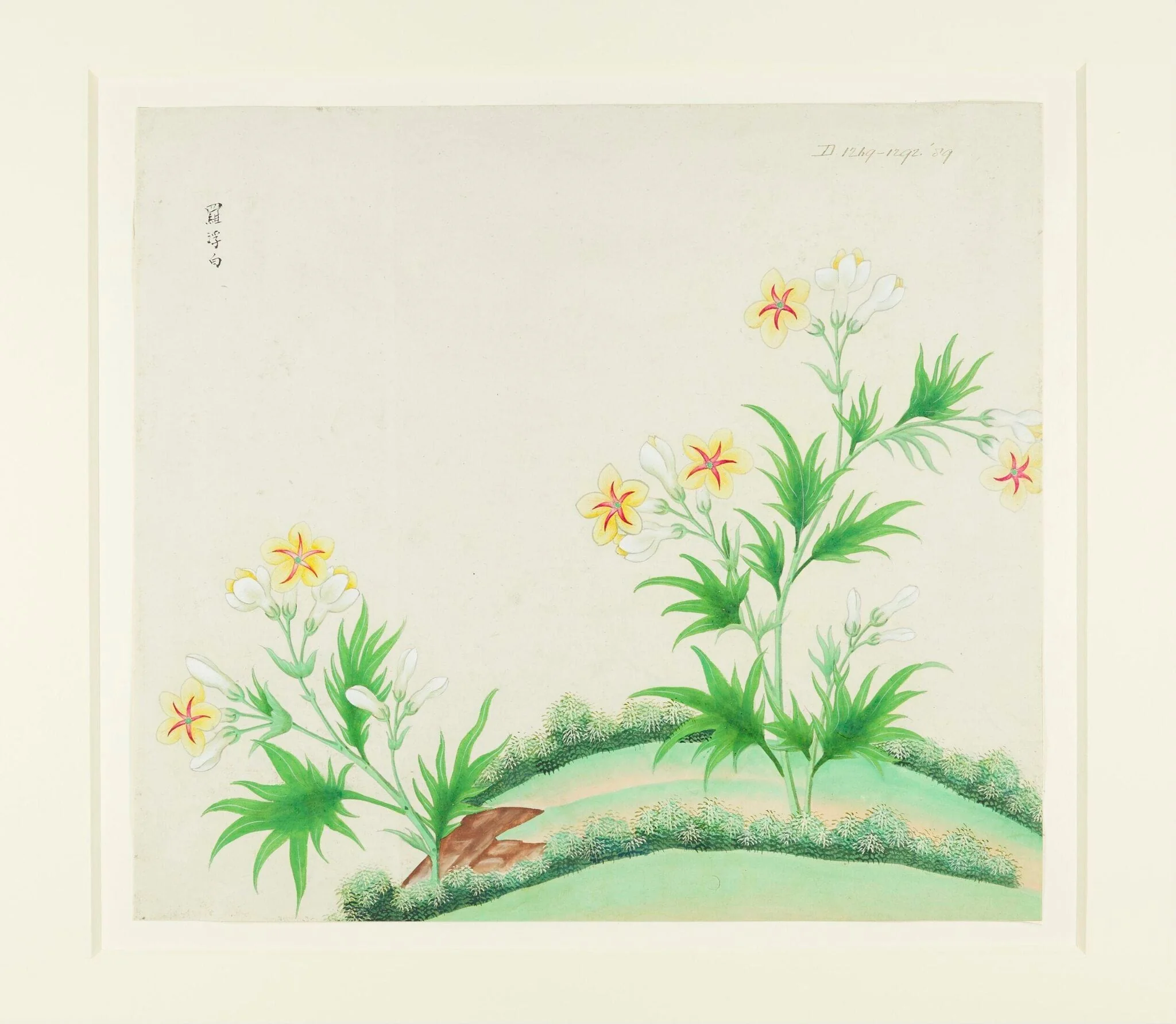 Luofu White, by Unknown, paint, 1780