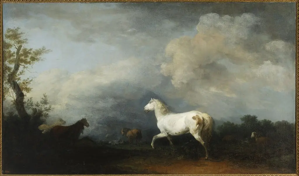 Band of horses