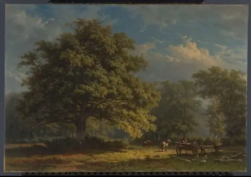 Gezicht in het Bentheimse bos