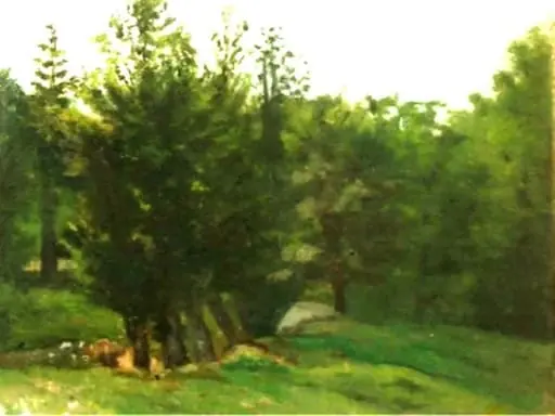 Peisaj de pădure