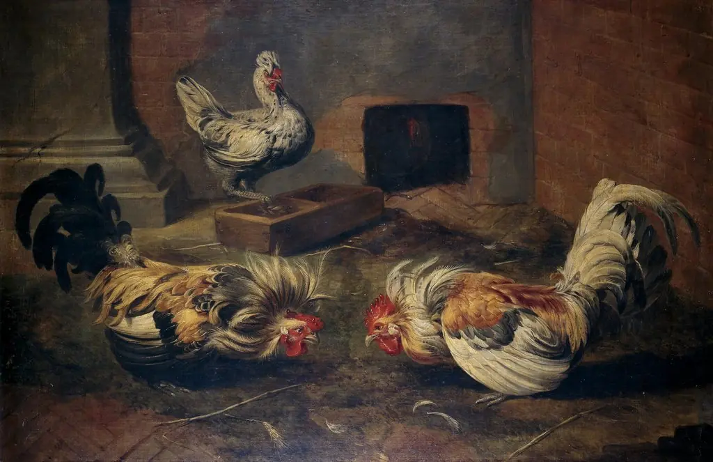 Chicken coop