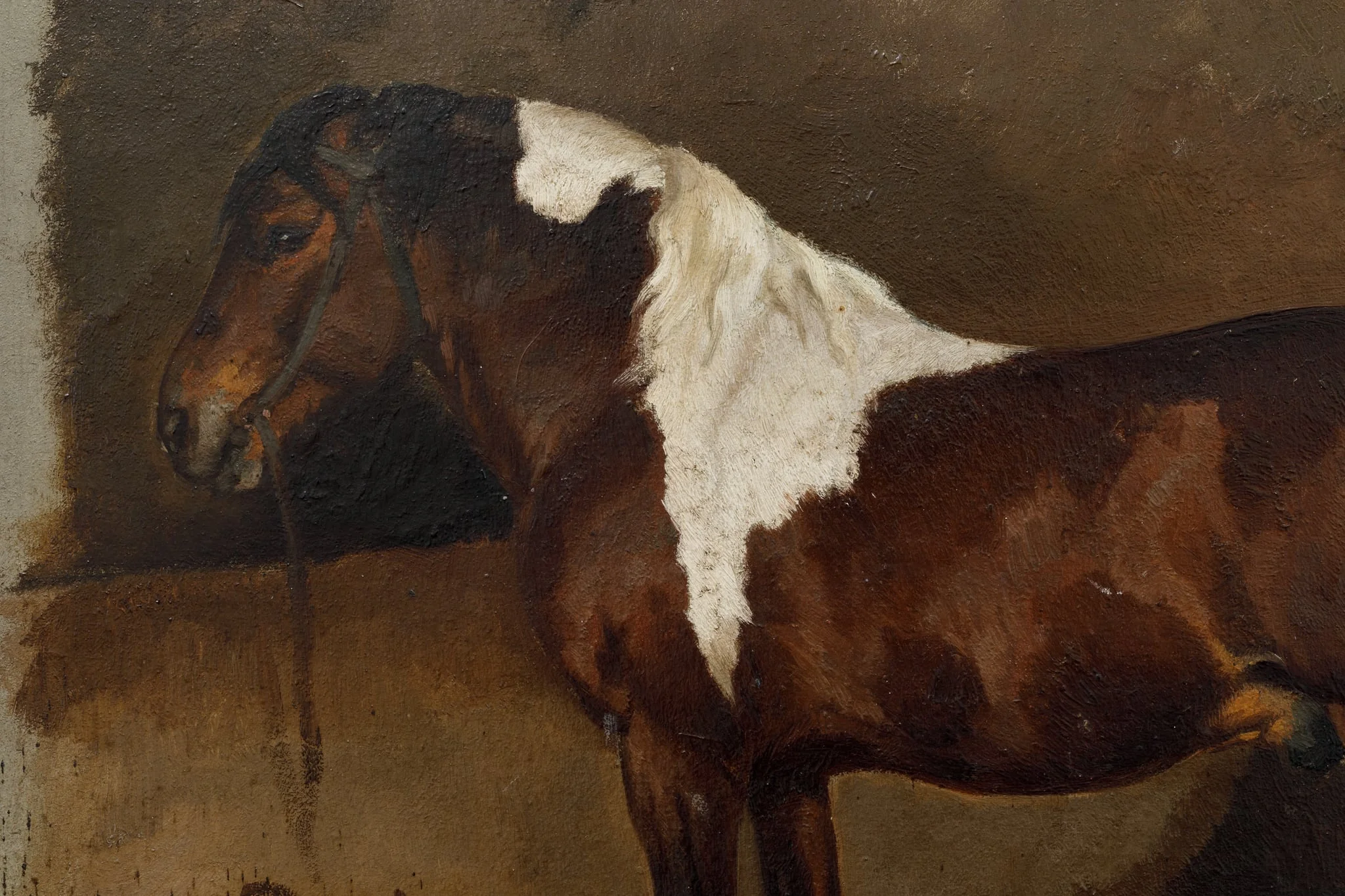 Cal, by Wouterus Verschuur, unspecified, 1850