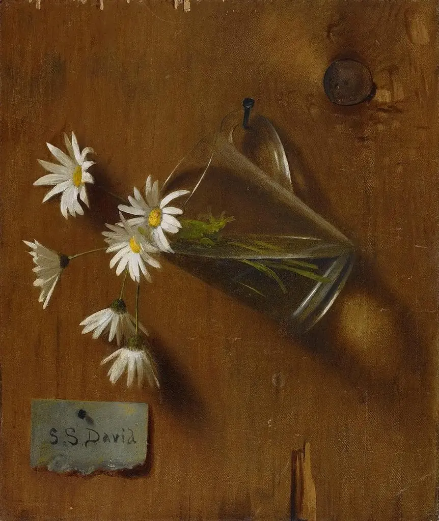 Daisies