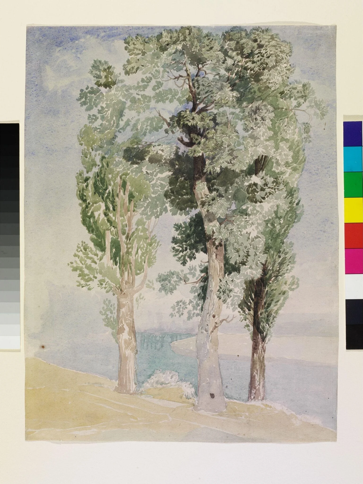 A Study of Trees, by John Sell Cotman, watercolor, 1800
