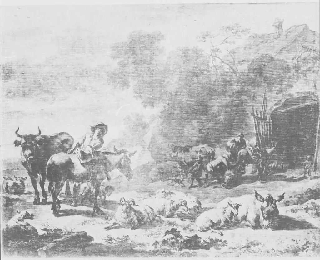 Herders and Herd