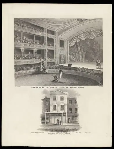 H Beard Print Collection