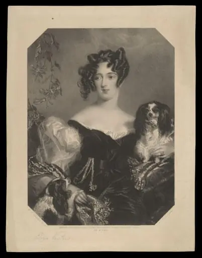 H Beard Print Collection