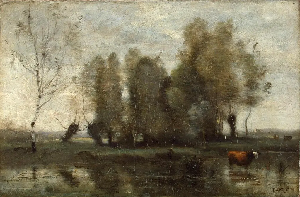 Trees in a Swamp