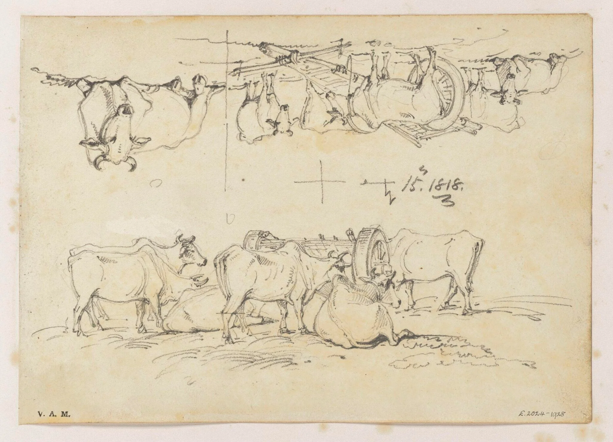 Two drawings of cattle surrounding a bullock cart, by George Chinnery, 12