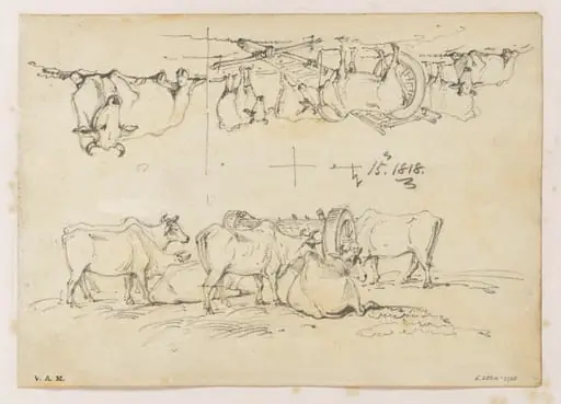 Two drawings of cattle surrounding a bullock cart