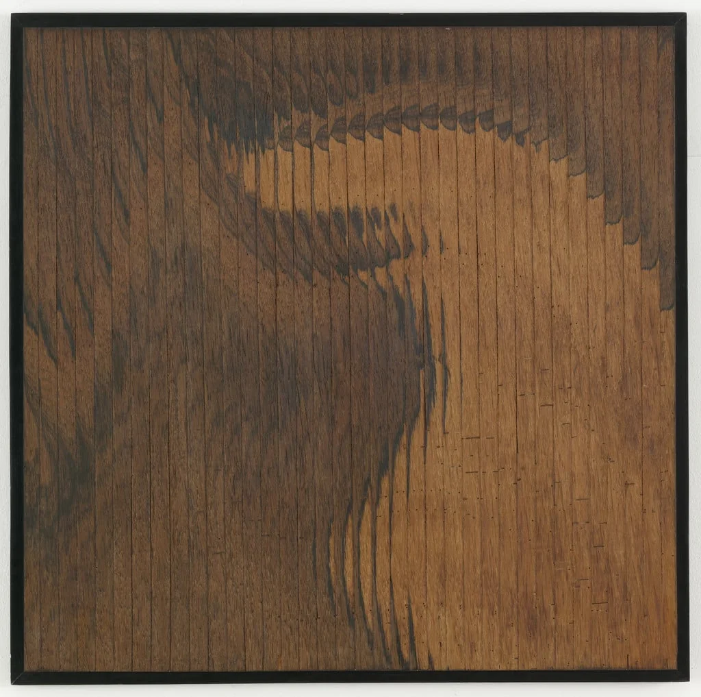 Untitled, by Abraham Palatnik, wood, 1965