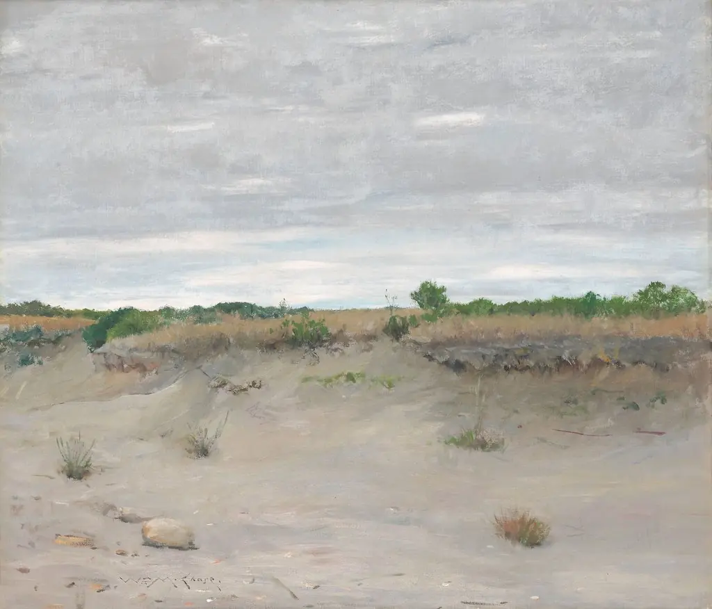 Wind-Swept Sands