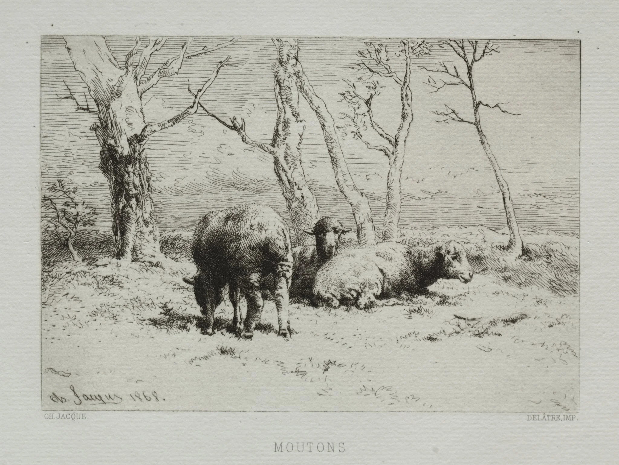 Sheep, by Charles Jacque, 1868