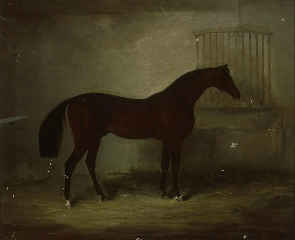 Buscot Buck in stable