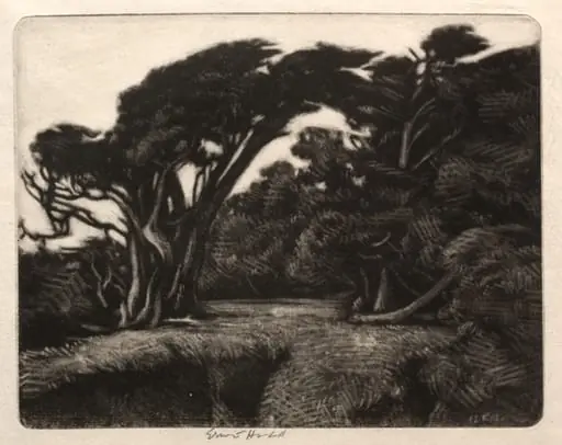 Cypress Bower