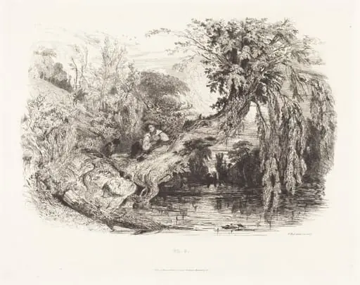 The Poacher