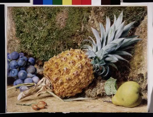 Pinapple with other fruit