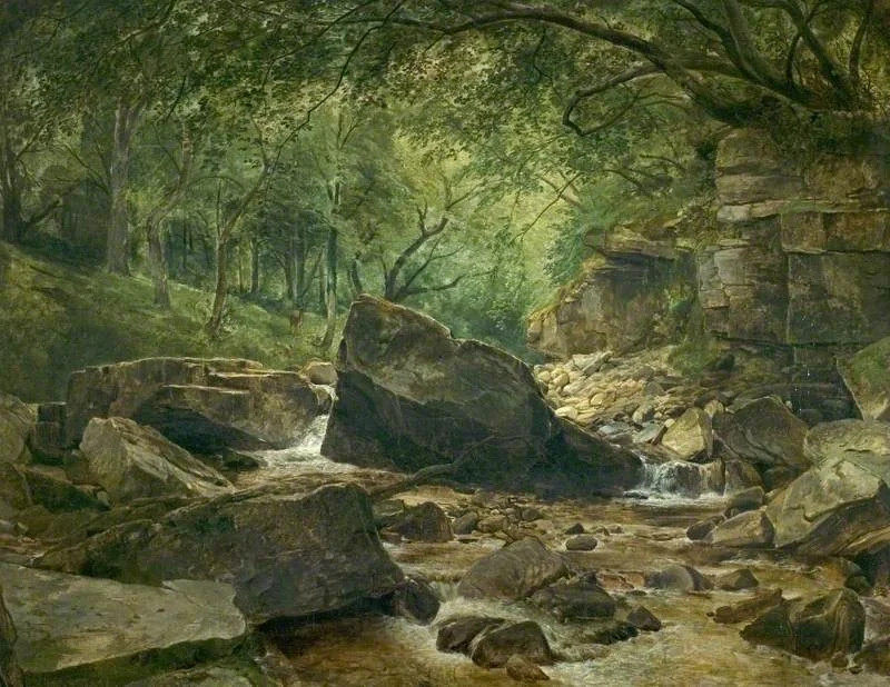 River Scene with Rocks