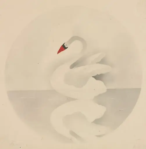 Swan