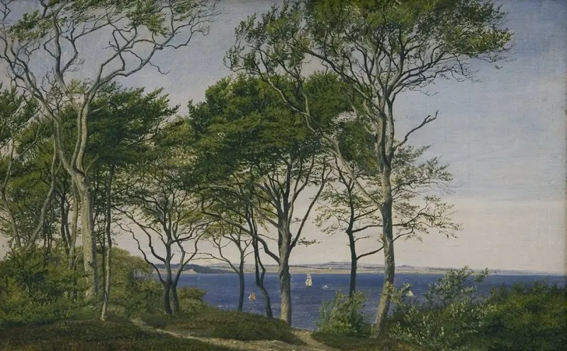 View Through Beech Trees Across a Fiord