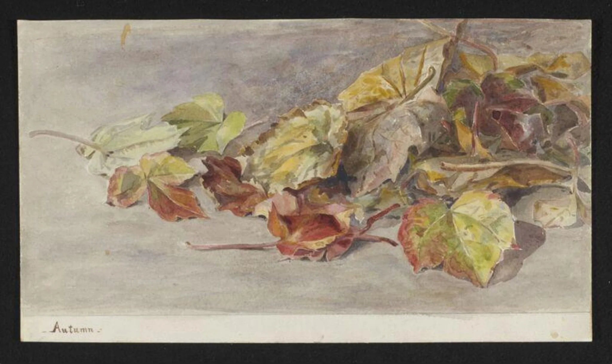 Autumn