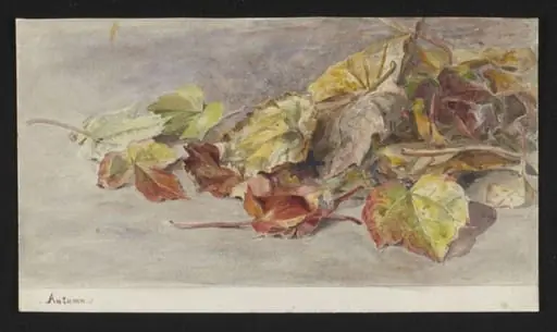 Autumn