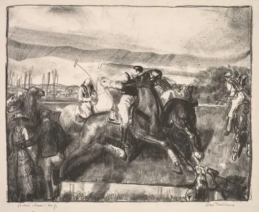 Polo Sketch