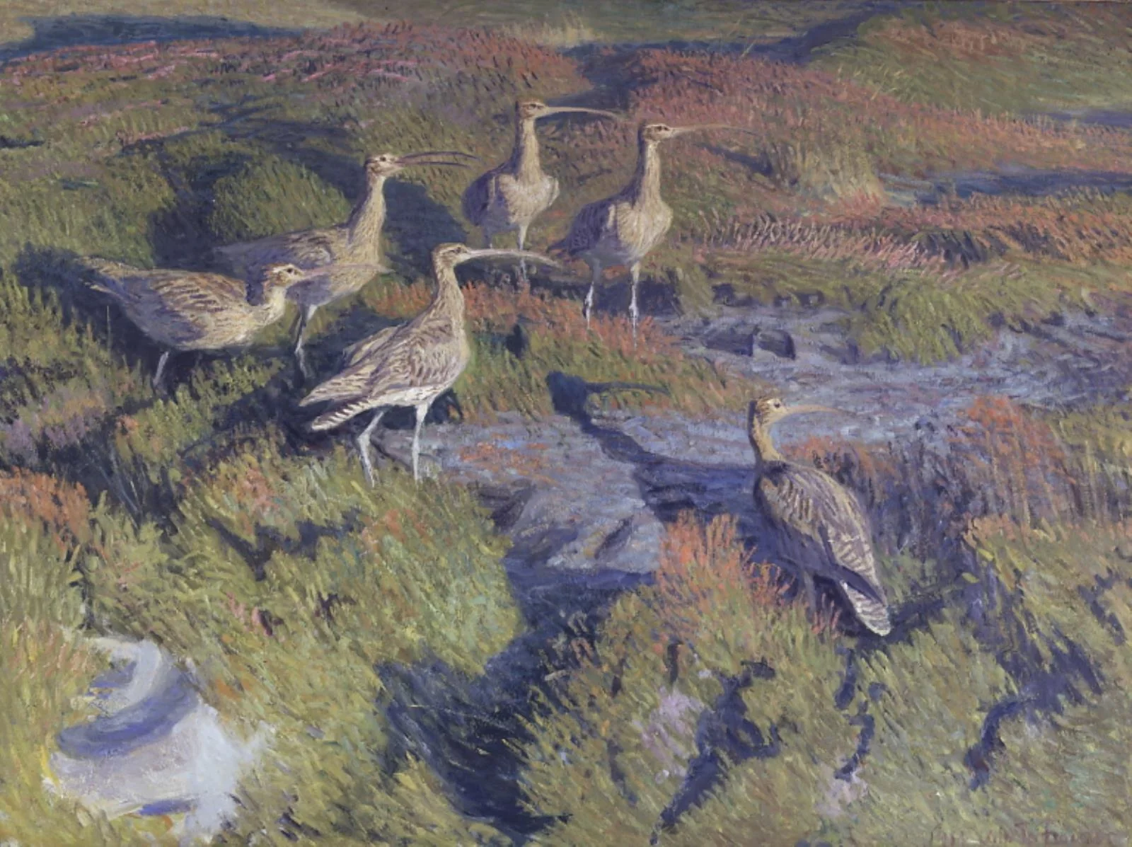 Regnspover klar til at lette, by Vilhelm Theodor Fischer, oil, 1911