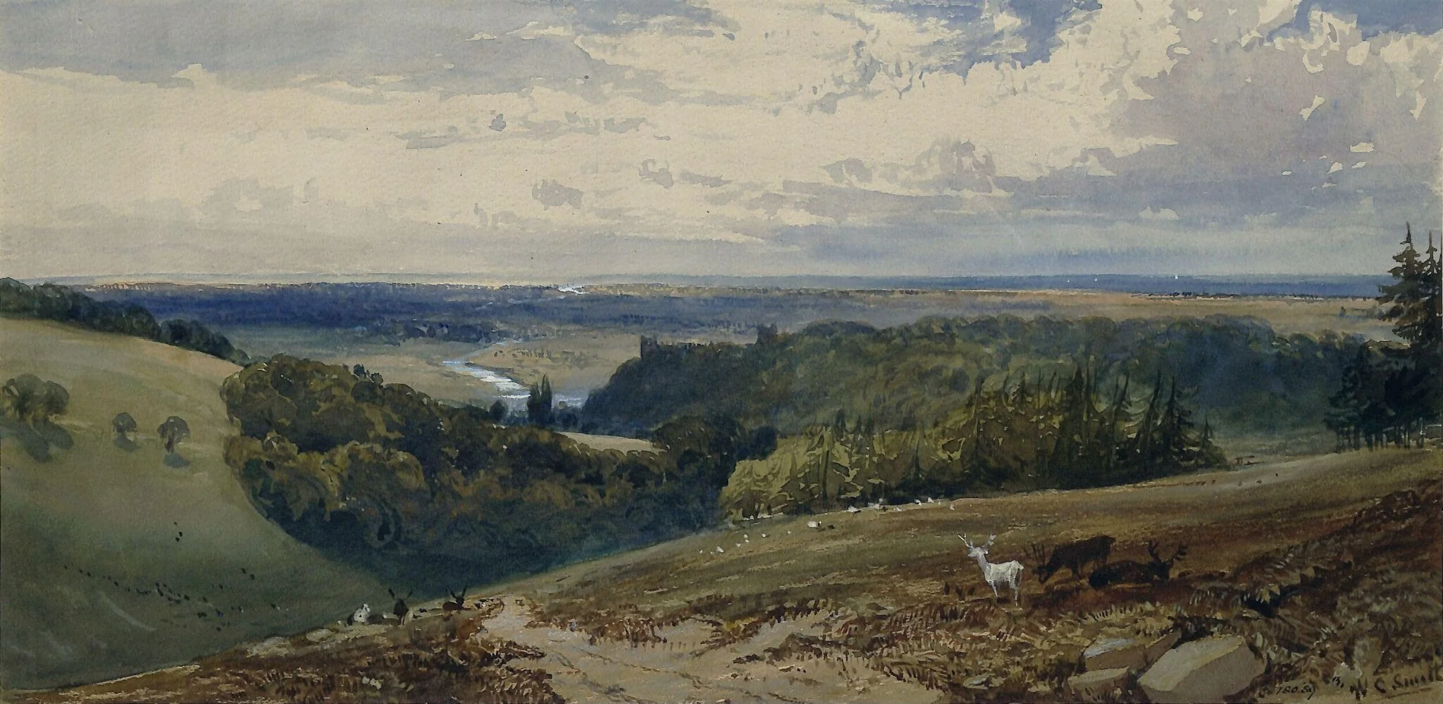 Arundel Park, Sussex