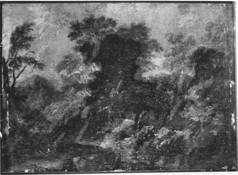 Q29904391