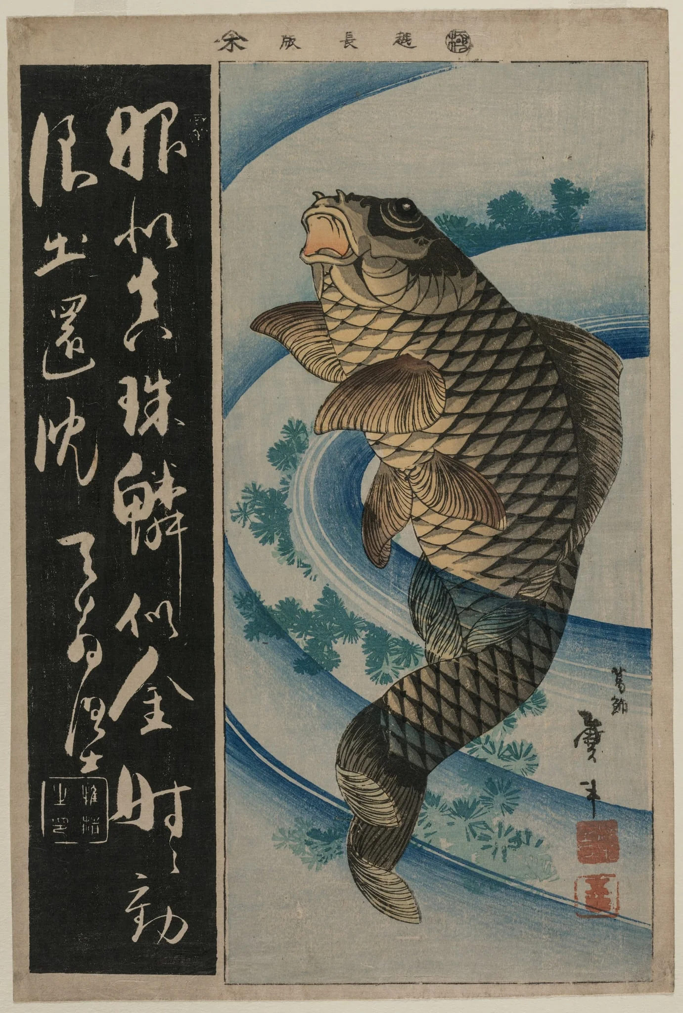 Carp and Waterweeds