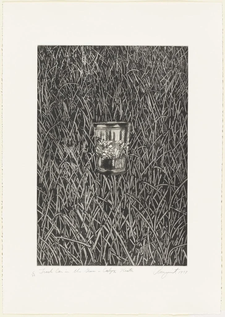 Untitled, by James Rosenquist, ink, 1977