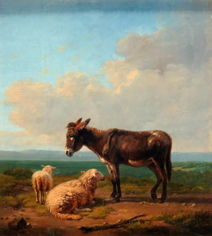 Donkey and Lambs