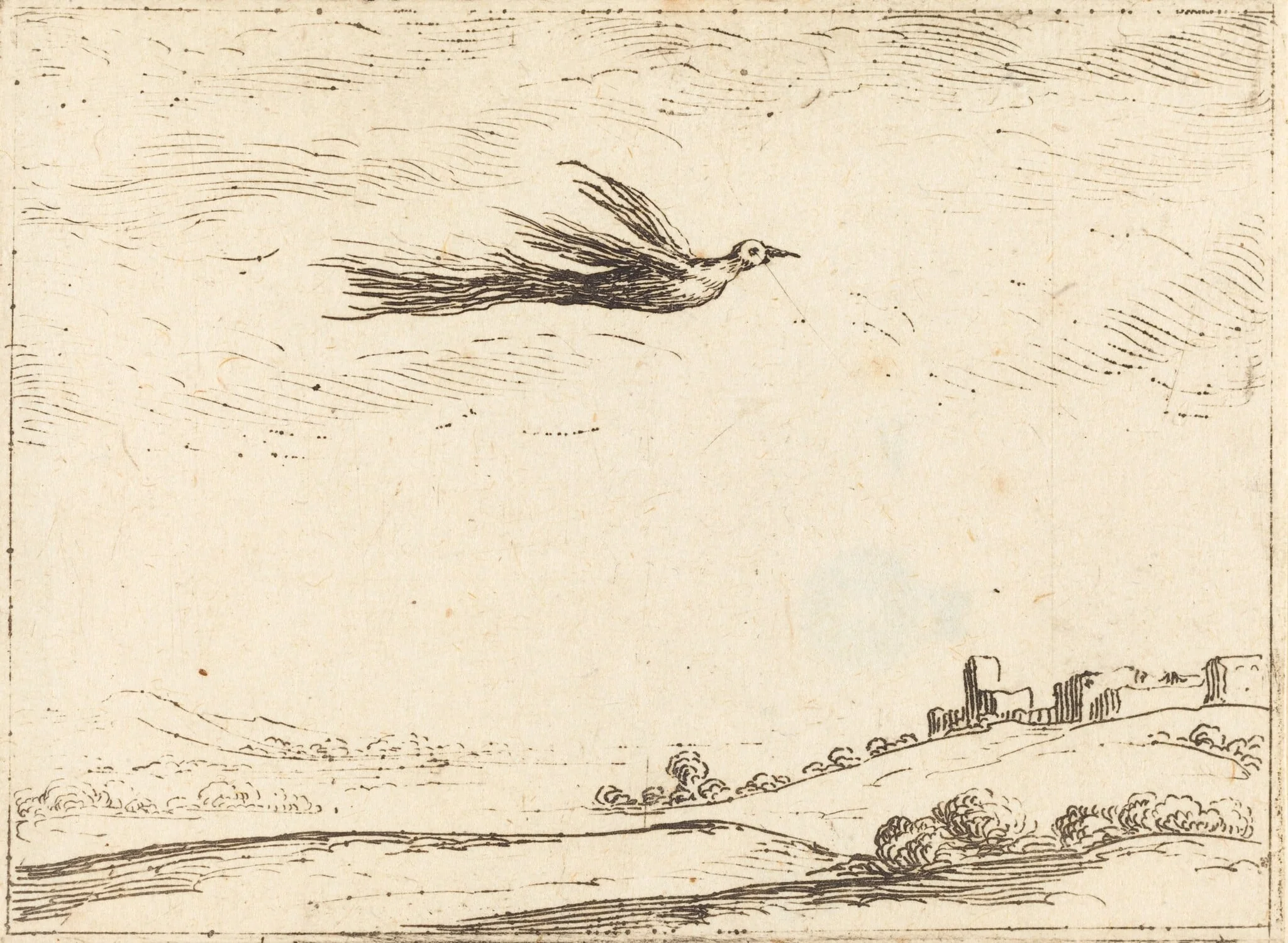 Bird of Paradise, by Jacques Callot, ink, 1628