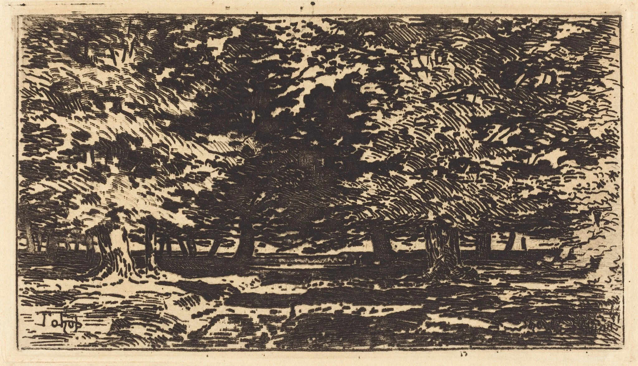 Forêt, by Félix-Hilaire Buhot, ink, 1872