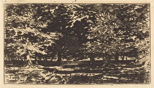Forêt