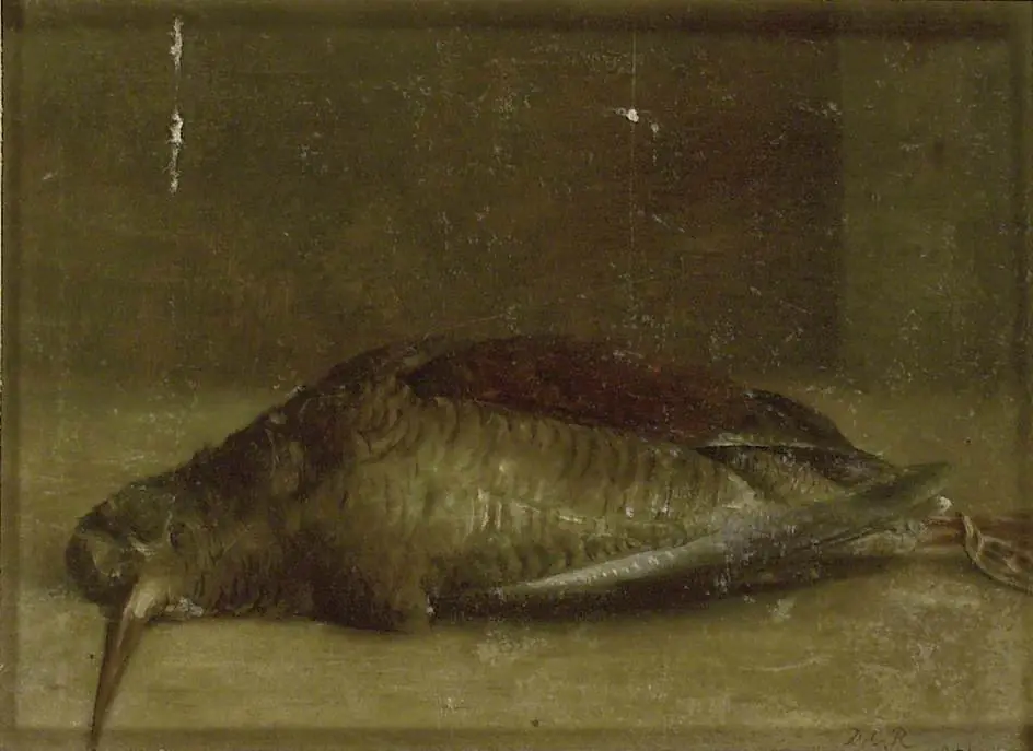 Woodcock from Nature