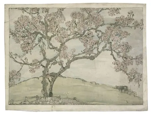 Apple Blossom