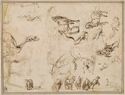 Studies of Horses [verso]