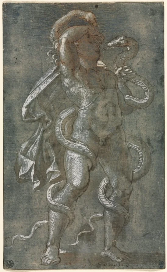 Man Entwined by Two Snakes, by Il Pordenone, 1527