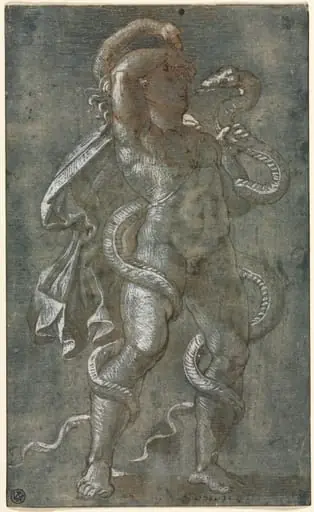 Man Entwined by Two Snakes