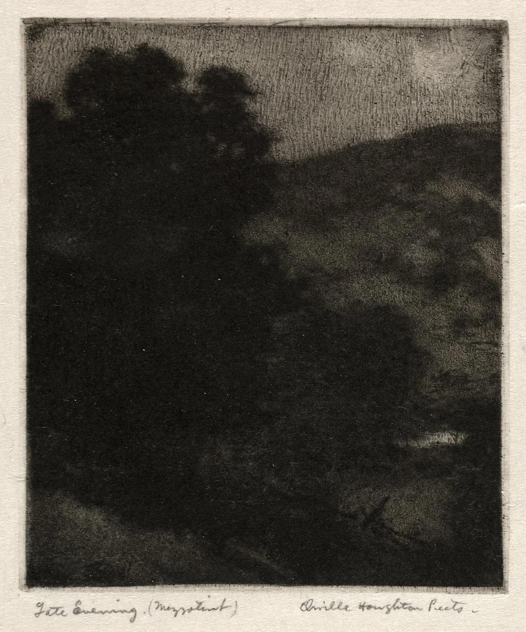 Late Evening
