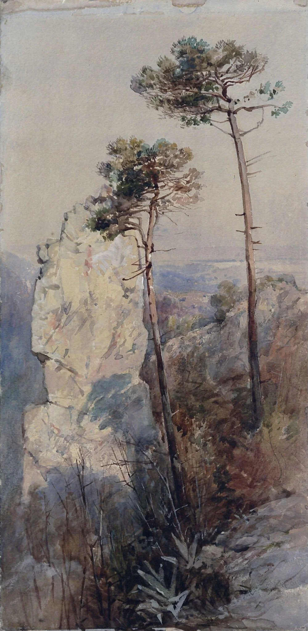 Rocks and Pines, Sorrento, by Unknown, watercolor, 1850