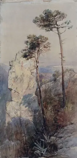 Rocks and Pines, Sorrento