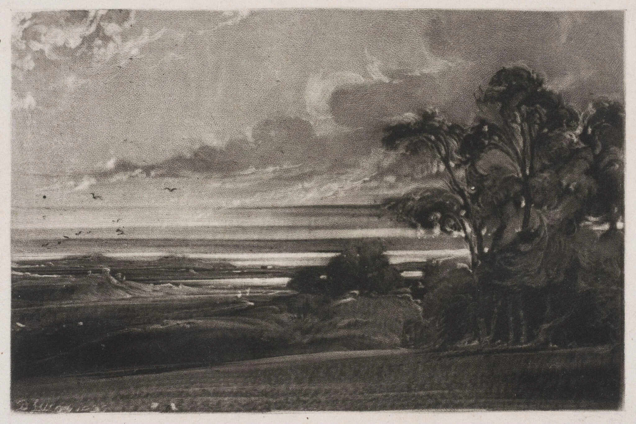Unidentified landscape