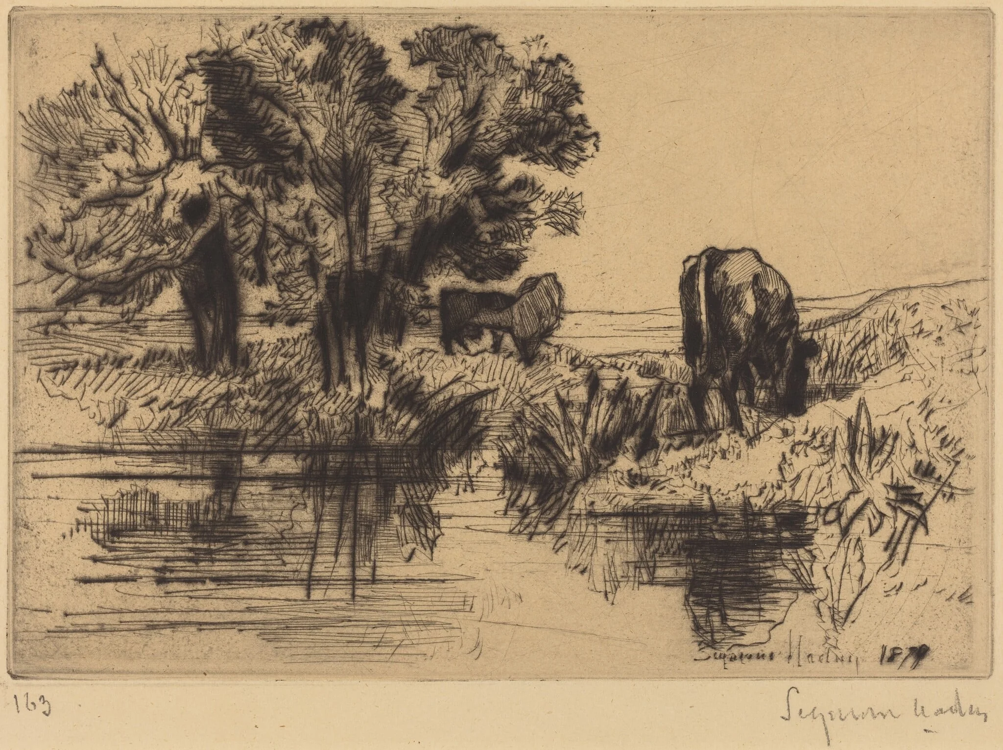 The Three Cows, by Francis Seymour Haden, ink, 1877