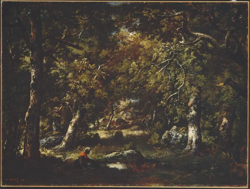 Pool in the Forest