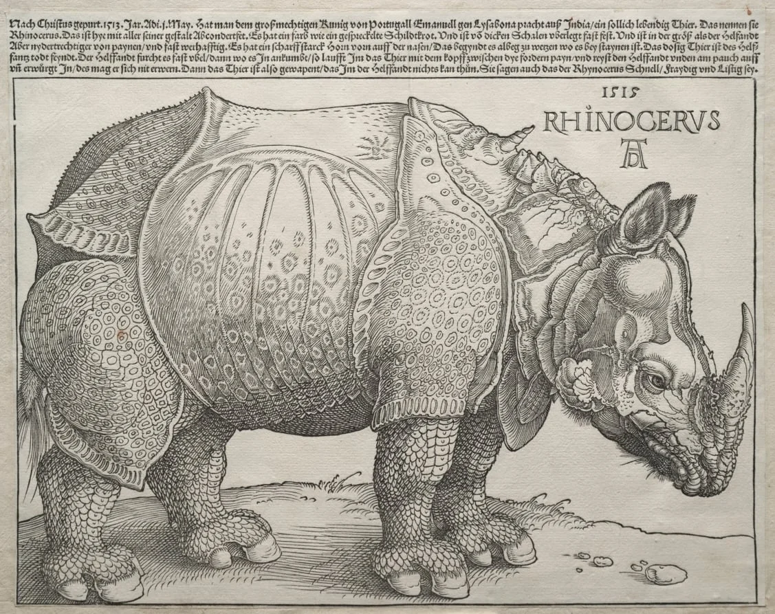 The Rhinoceros, by Albrecht Dürer, 1515
