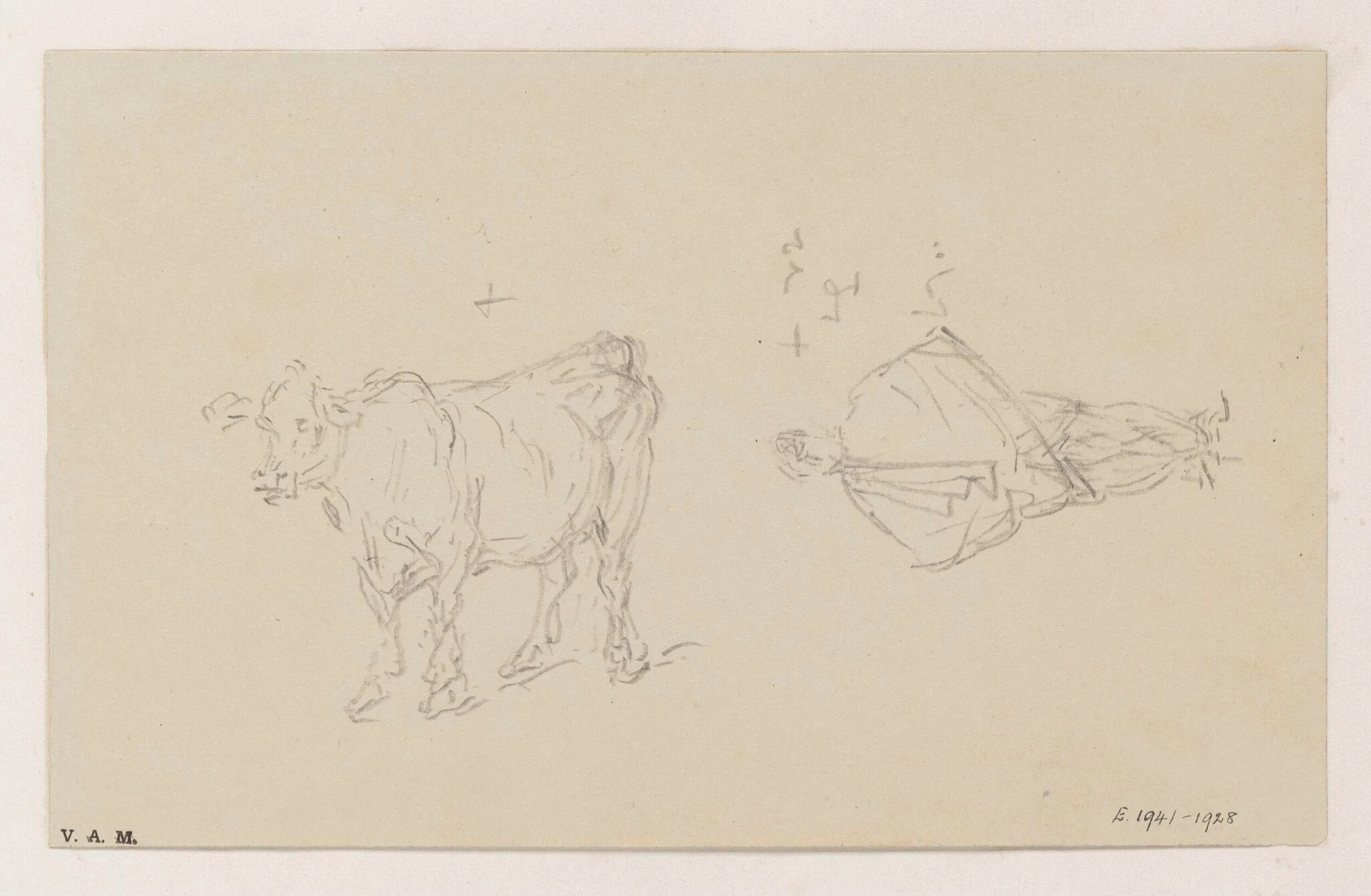 Drawings of a cow and a standing figure, by George Chinnery, 19