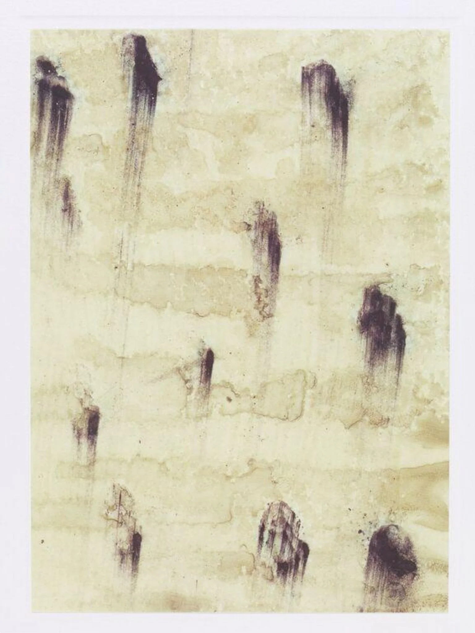 Seal, by Sian Bowen, 2000